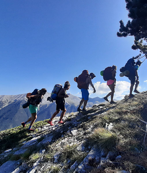 Explore Nature with Our Guided Hikes