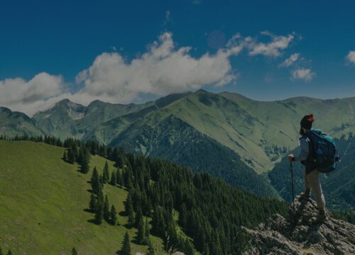 Things to see and do when visiting Japan